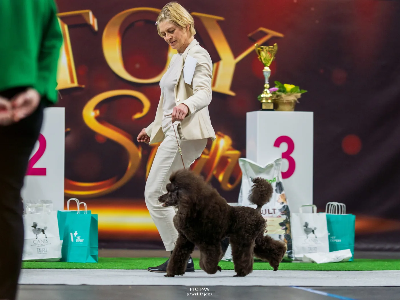 Pudle Salonu FIDO na podium wystawy psów rasowych